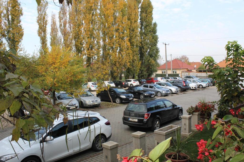 Bajor Panzió Kecskemét Exterior foto